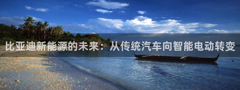 球盟会电子