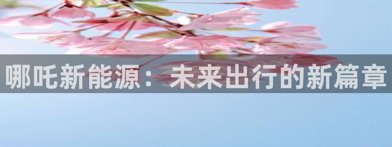 千亿球盟会：哪吒新能源：未来出行的新篇章