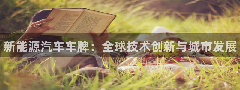 球盟会里面有打牌的嘛：新能源汽车车牌：全