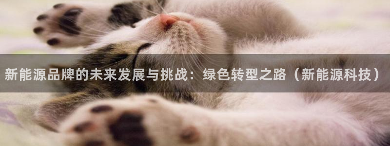球盟会网址多少：新能源品牌的未来发展与挑